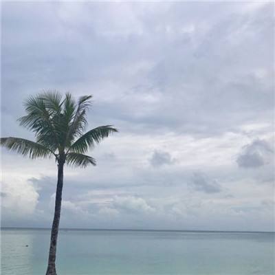 召唤封神师破解版最新下载