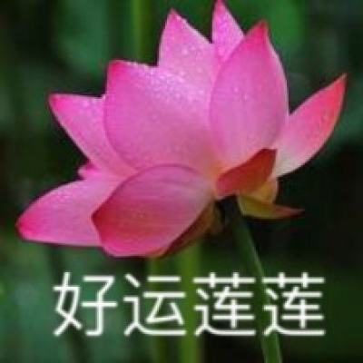 水晶冲突(crystal clash)下载